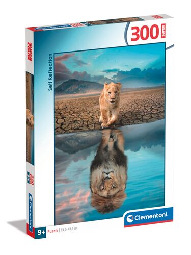 21719 PUZZLE 300 SUPER NOLI SELF REFLECTION