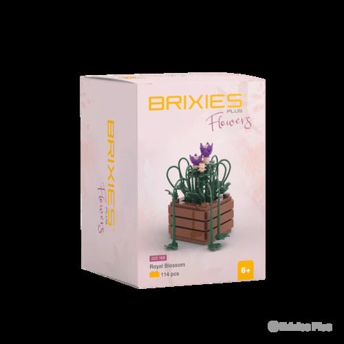 222.169 Brixies Plus Mini Blume Royal blossom