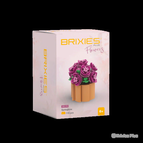 222.170 Brixies Plus Mini Blume Spring Time
