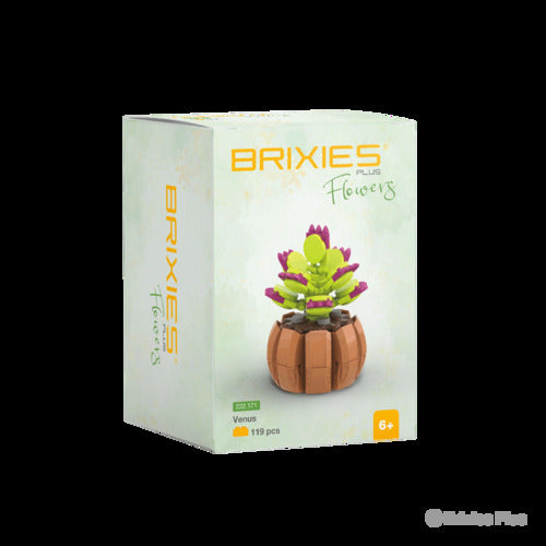 222.171 Brixies Plus Mini Blume Venus