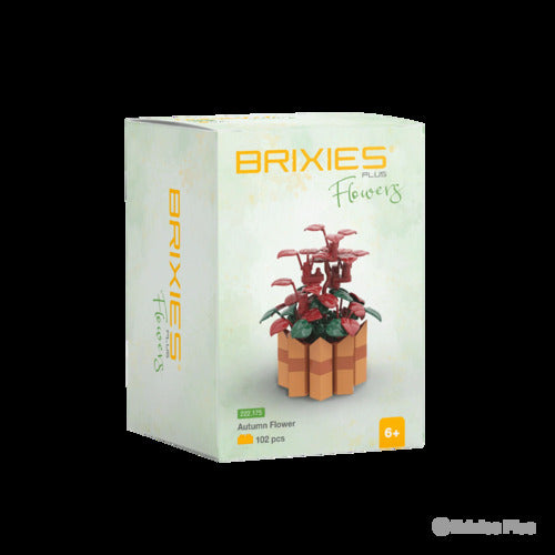 222.175 Brixies Plus Mini Blume Autumn Flower