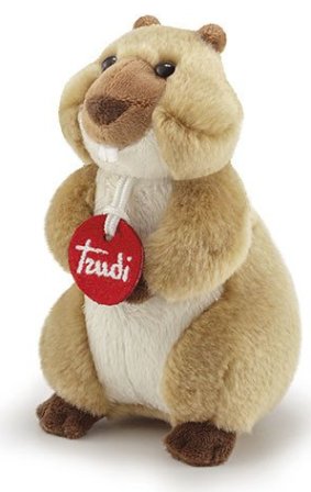51311 Peluche Trudino Marmotta