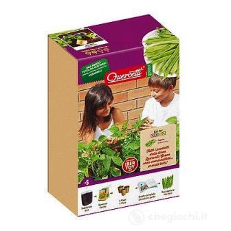 Quercetti 9599 QUERCETTI GREEN