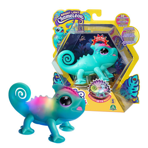 LP200000 LIVE PETS CALM A CHAMELEON