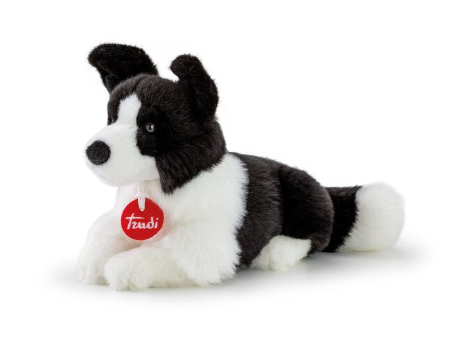 TUDN7000 Peluche Border Collie Scott 18x25x12cm