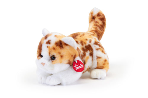 21045 PELUCHE GATTINO BRAD MACULATO