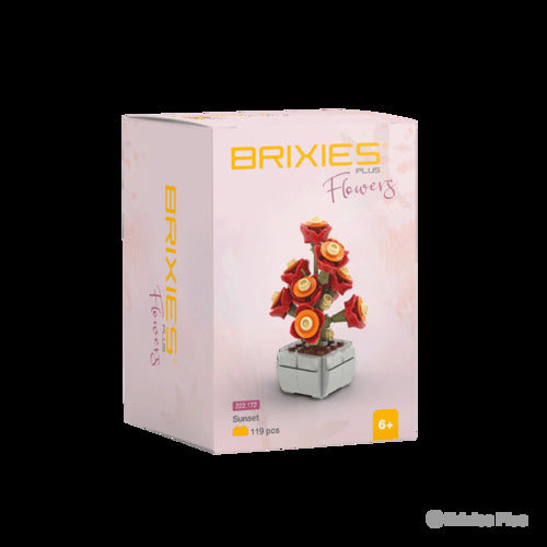 222.172 Brixies Plus Mini Blume Sunset