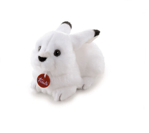 24026 Peluche Lepre Artica cm 26
