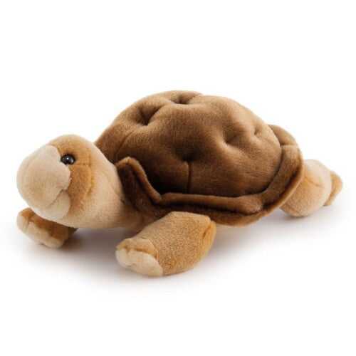 24082 Peluche Tartaruga Romilde
