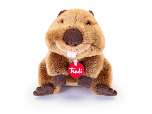 24464 Peluche castoro Giuseppe - taglia S