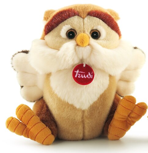 24614 Pelche Gufo Rinaldo