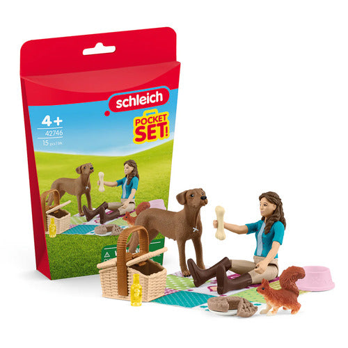 42746 MINIATURE IN SCALA -  PICNIC CON LISA