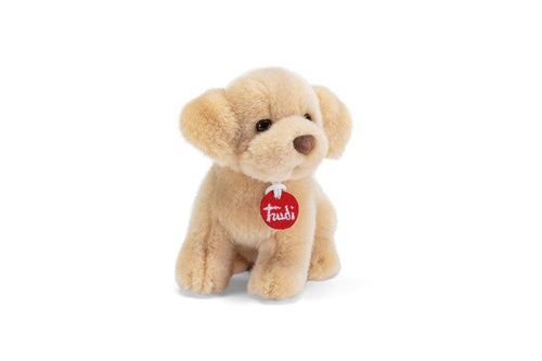 51907 Peluche Trudino Labrador