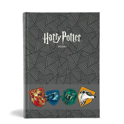 SCUOLA HR938200 HARRY POTTER 26 DIARIO GRIGIO 10M